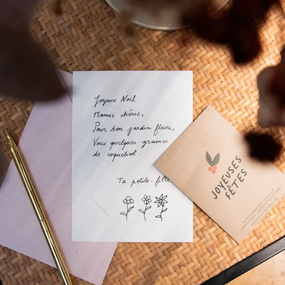 Best Carte de voeux à planter "Joyeuses Fêtes" DIY Et Activités Créatives|Plantes