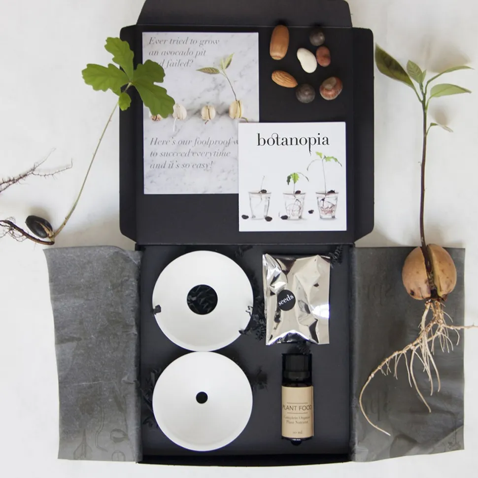 Hot Coffret de germination DIY Et Activités Créatives|Plantes