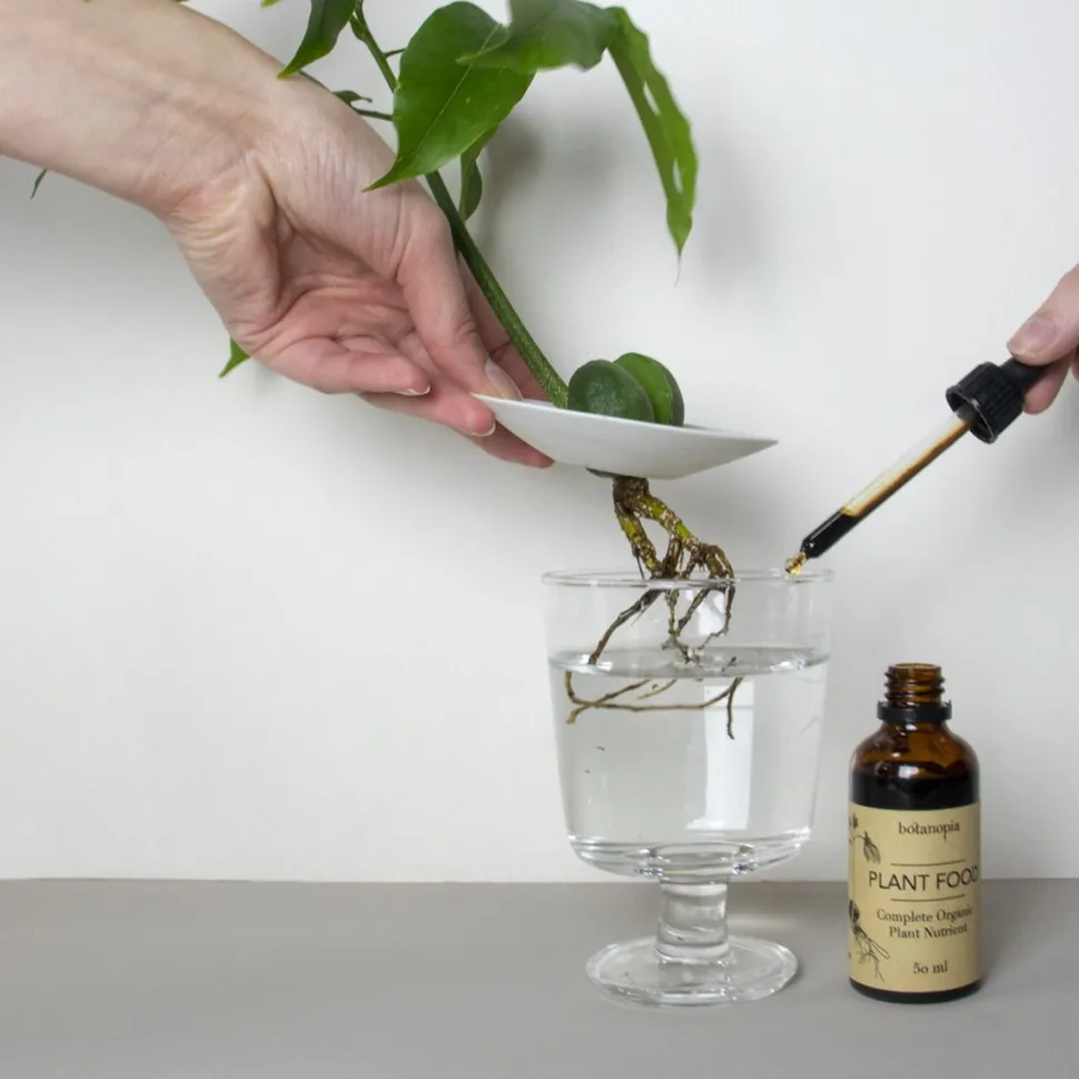 Hot Coffret de germination DIY Et Activités Créatives|Plantes