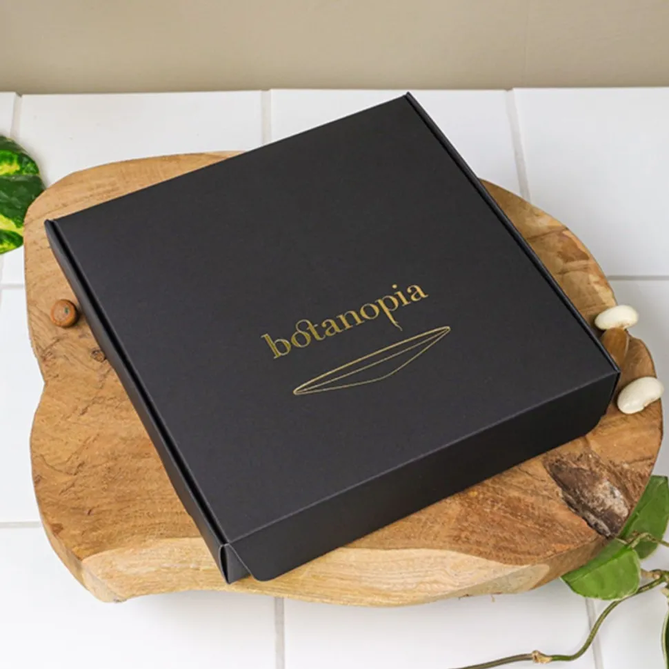 Hot Coffret de germination DIY Et Activités Créatives|Plantes