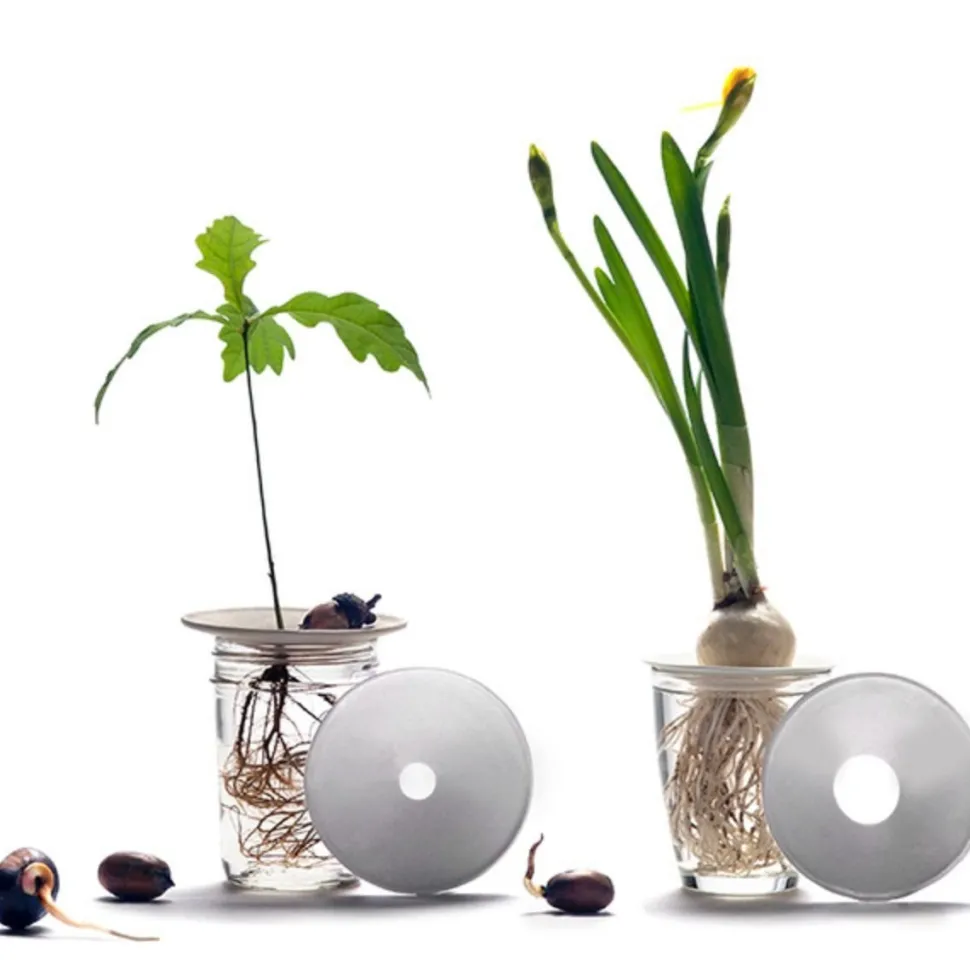 Hot Coffret de germination DIY Et Activités Créatives|Plantes