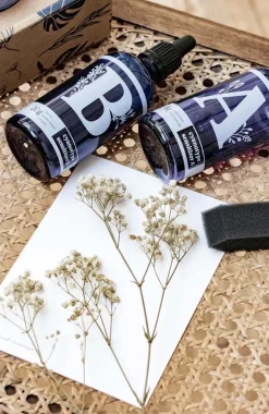 Fashion Kit de création de cyanotypes DIY Et Activités Créatives|Plantes