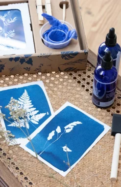 Fashion Kit de création de cyanotypes DIY Et Activités Créatives|Plantes