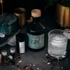 Flash Sale Kit fabriquez votre propre gin DIY Et Activités Créatives|Cocktails Et Spiritueux