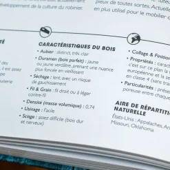 New Livre La bible du bois DIY Et Activités Créatives|Livres