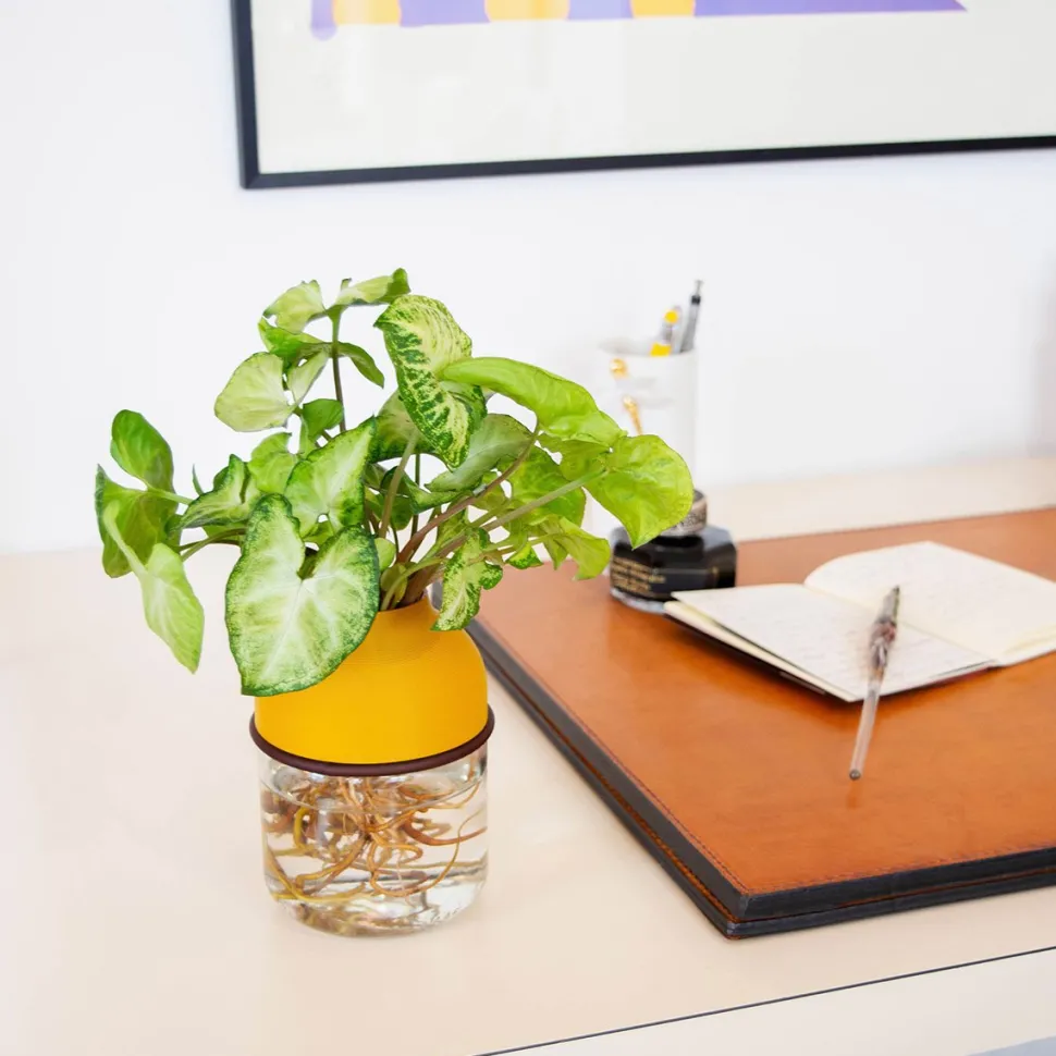 Best Sale Plante avec vase autonome Plantes