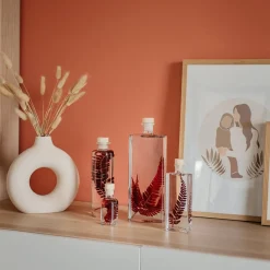 New Plantes immergées Décoration Et Cocooning|Plantes