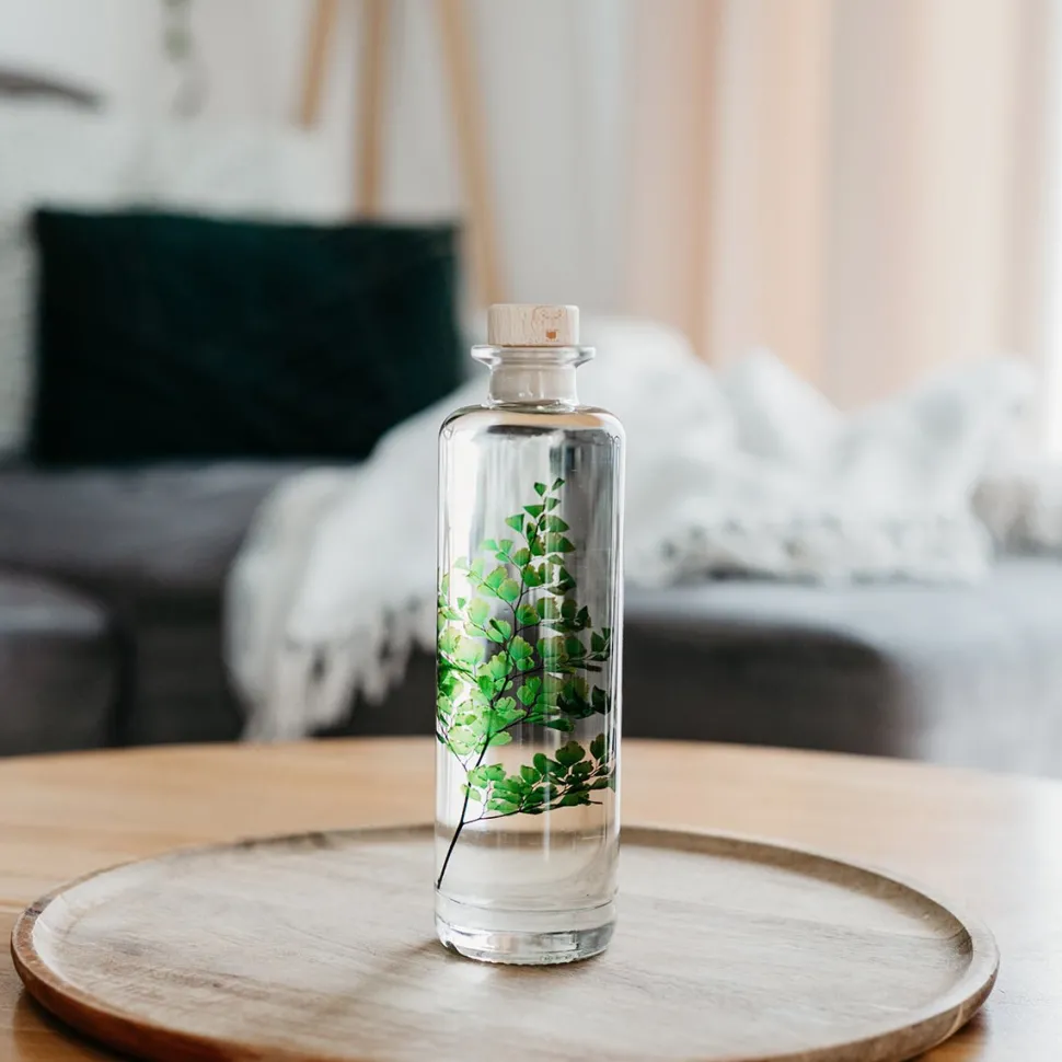 New Plantes immergées Décoration Et Cocooning|Plantes