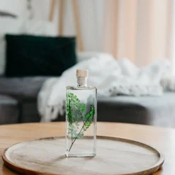 New Plantes immergées Décoration Et Cocooning|Plantes