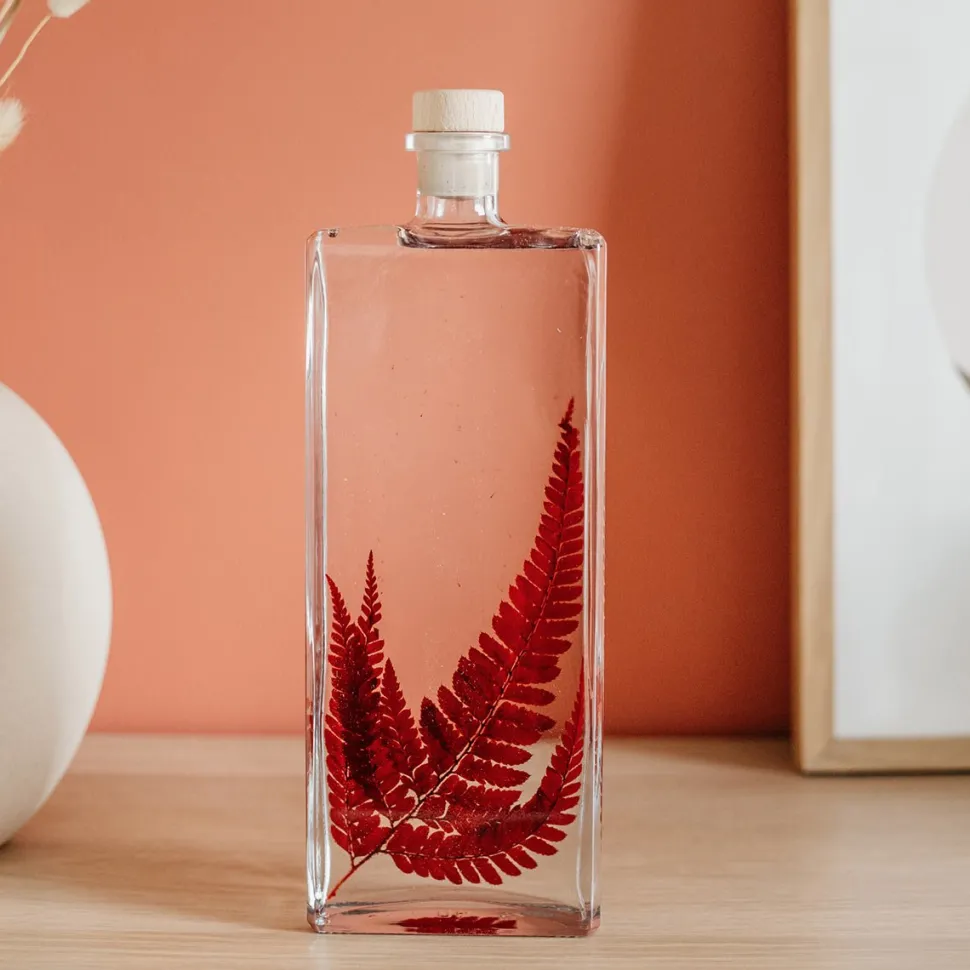 New Plantes immergées Décoration Et Cocooning|Plantes