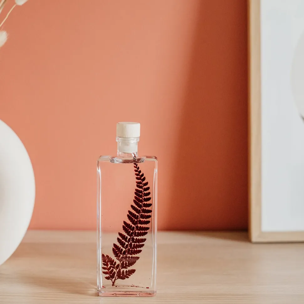 New Plantes immergées Décoration Et Cocooning|Plantes