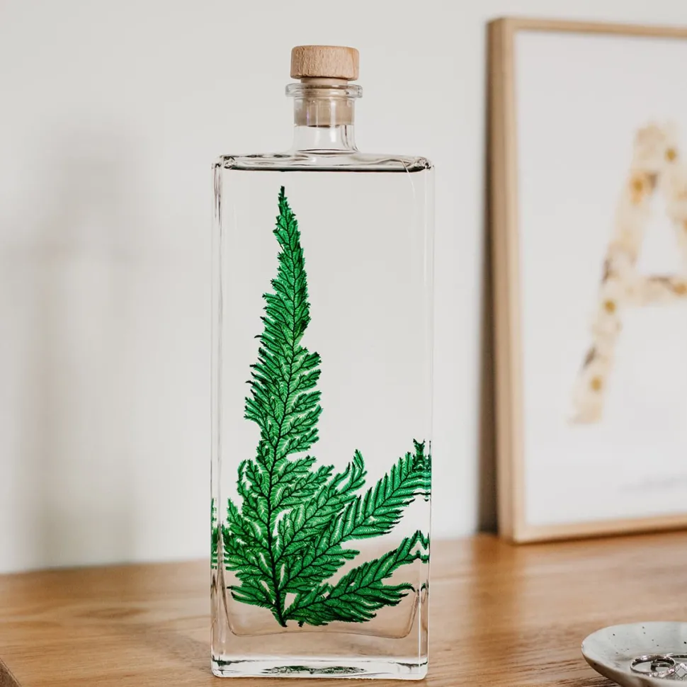 New Plantes immergées Décoration Et Cocooning|Plantes