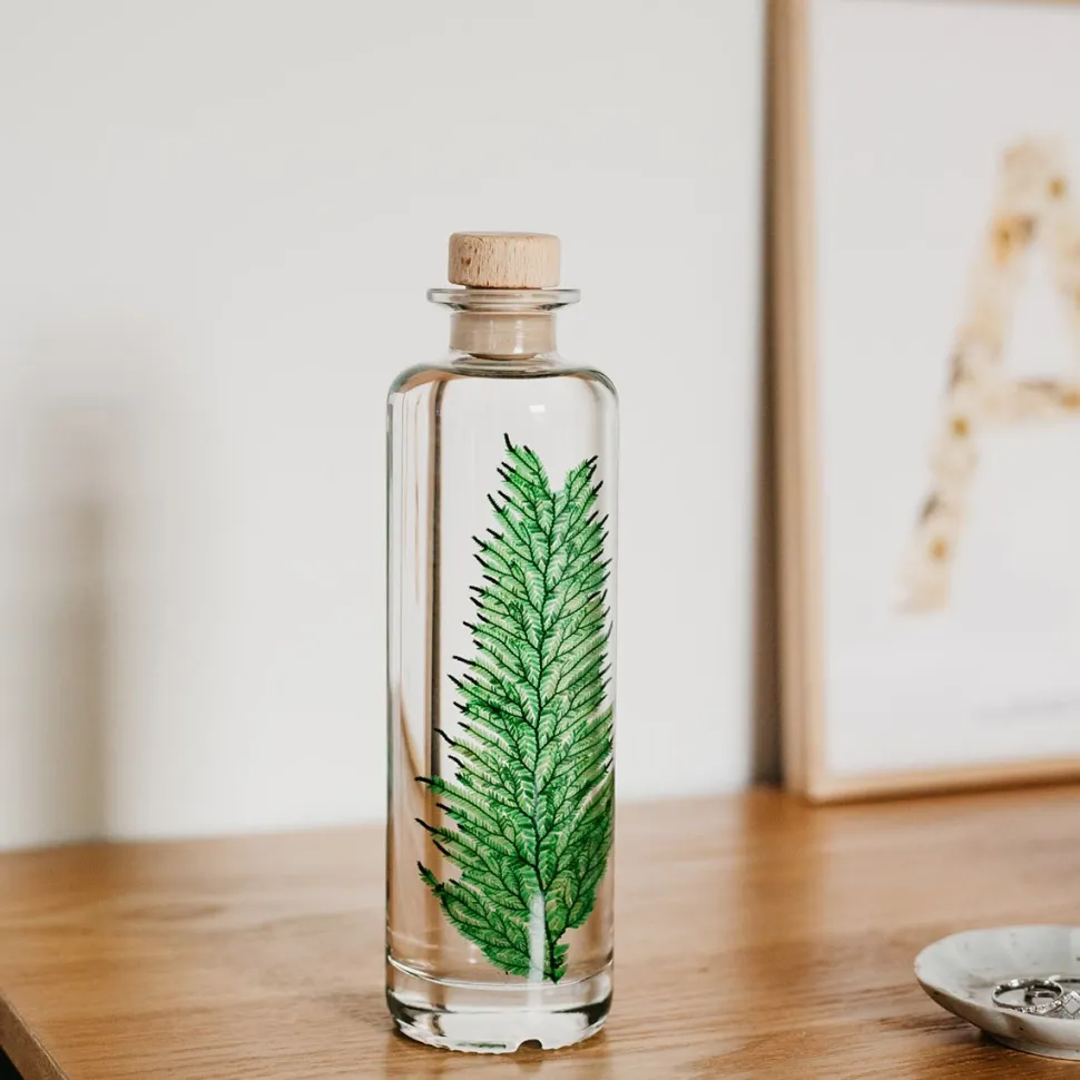 New Plantes immergées Décoration Et Cocooning|Plantes