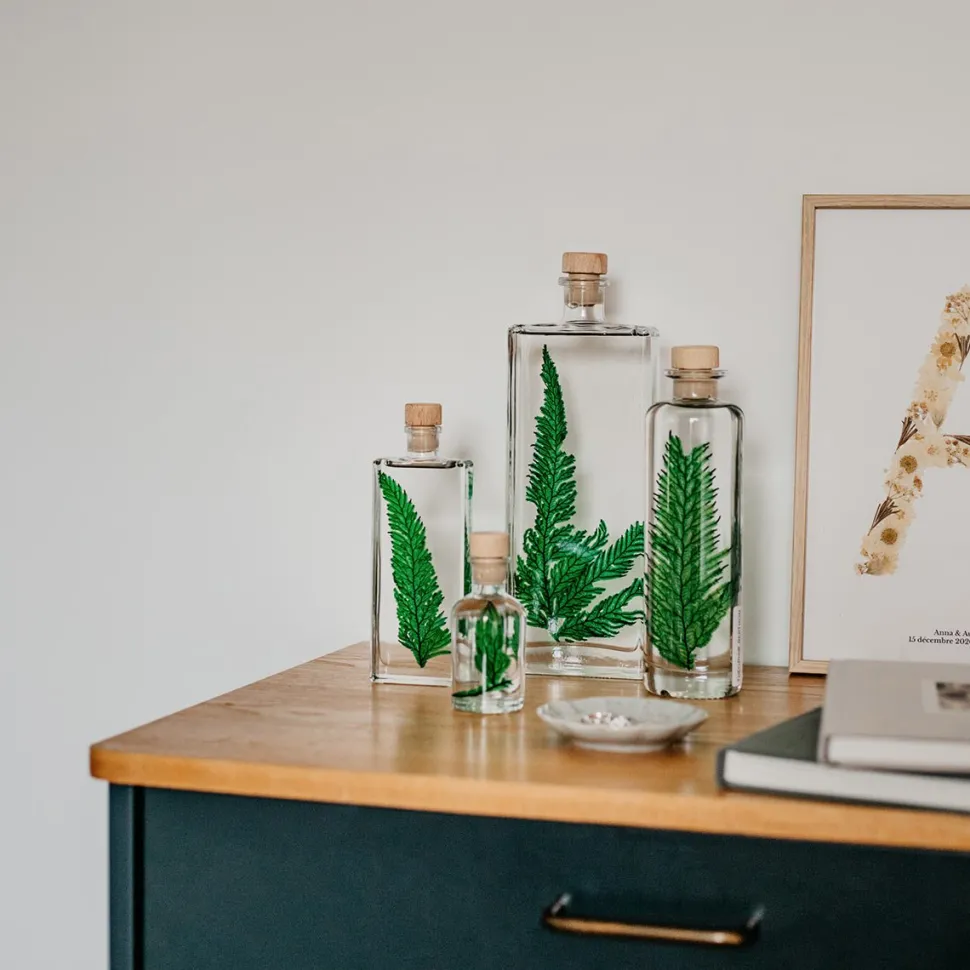 New Plantes immergées Décoration Et Cocooning|Plantes