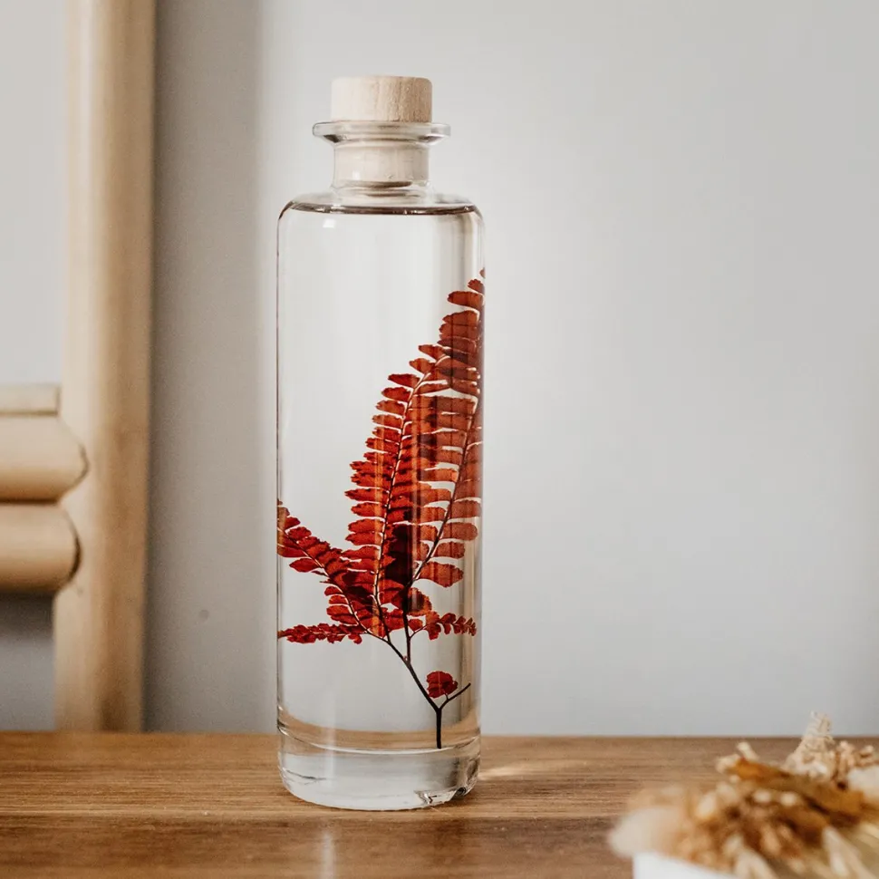New Plantes immergées Décoration Et Cocooning|Plantes