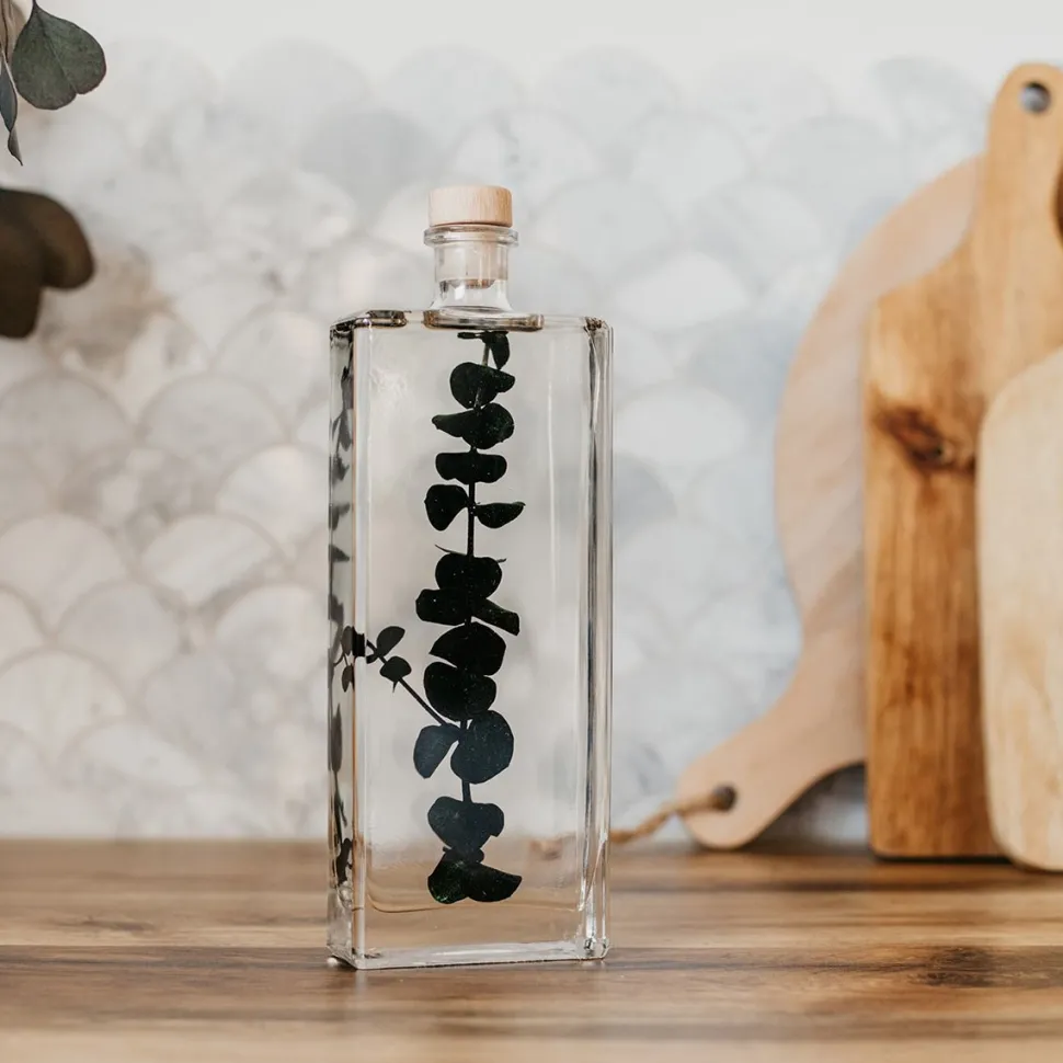 New Plantes immergées Décoration Et Cocooning|Plantes