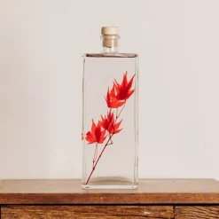 New Plantes immergées Décoration Et Cocooning|Plantes