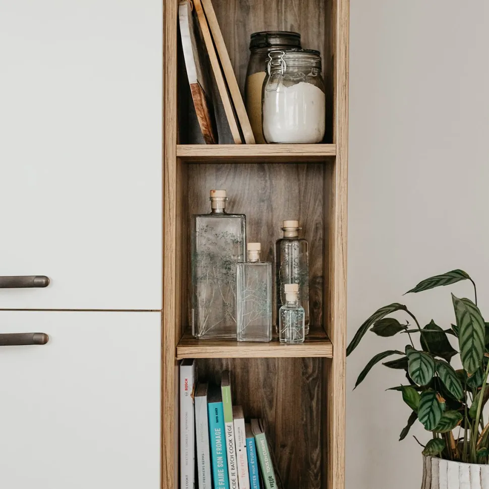 New Plantes immergées Décoration Et Cocooning|Plantes