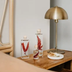 New Plantes immergées Décoration Et Cocooning|Plantes