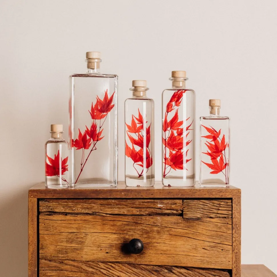 New Plantes immergées Décoration Et Cocooning|Plantes