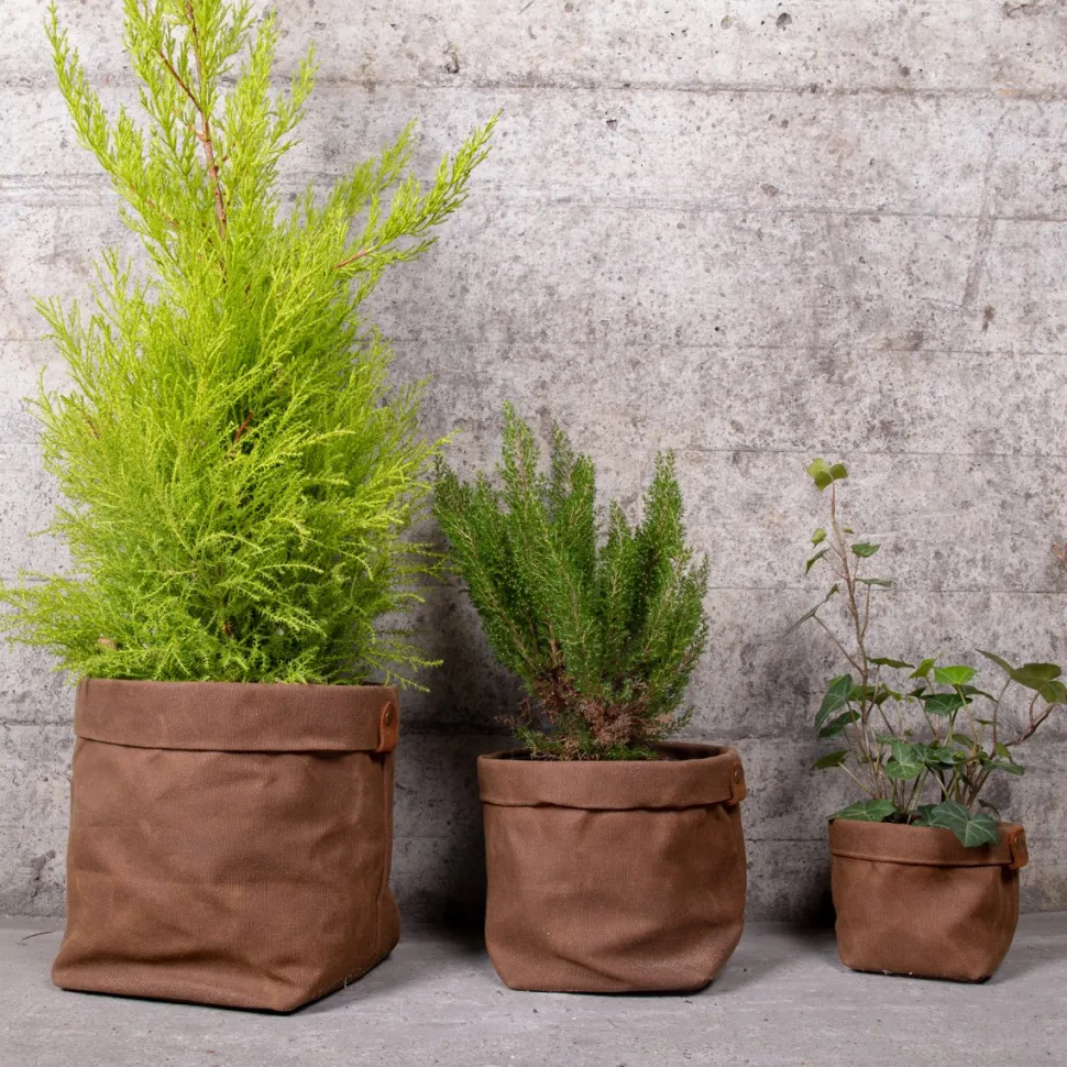 Fashion Set de trois cache-pots en toile waxée Plantes|Décoration Et Cocooning