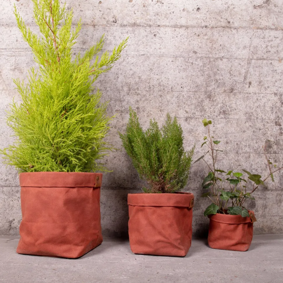 Fashion Set de trois cache-pots en toile waxée Plantes|Décoration Et Cocooning