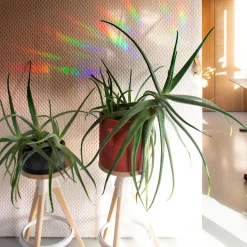 Outlet Stickers projecteurs d’arc-en-ciel Décoration Et Cocooning