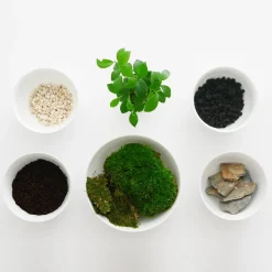 Discount Un terrarium à composer soi-même DIY Et Activités Créatives|Plantes