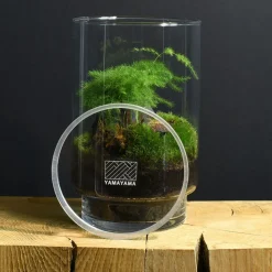 Discount Un terrarium à composer soi-même DIY Et Activités Créatives|Plantes