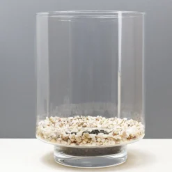 Discount Un terrarium à composer soi-même DIY Et Activités Créatives|Plantes